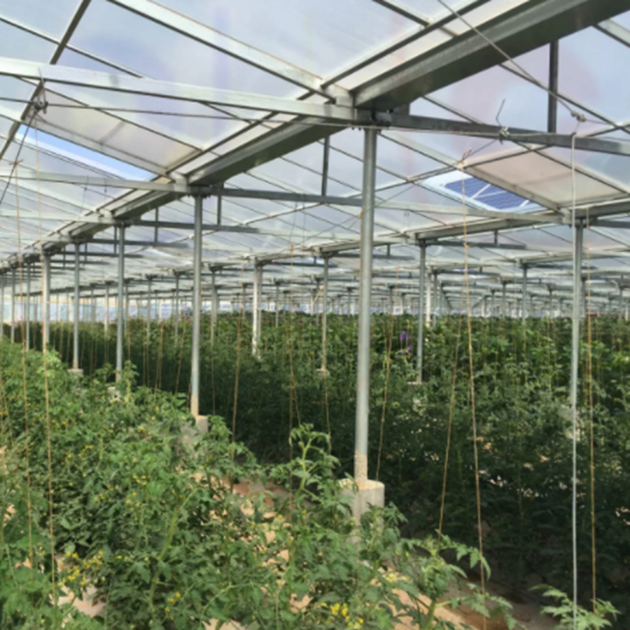 QCIT Green&nbsp;House Stent and Structure